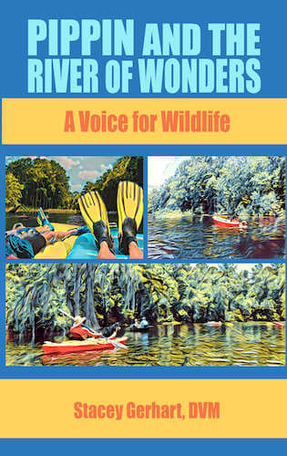 Environmentally Inspired Book Series for Children