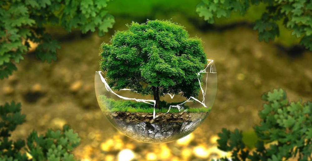 How to Copyright Your Book