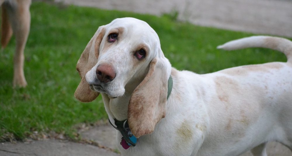 How to Handle Negative Book Reviews